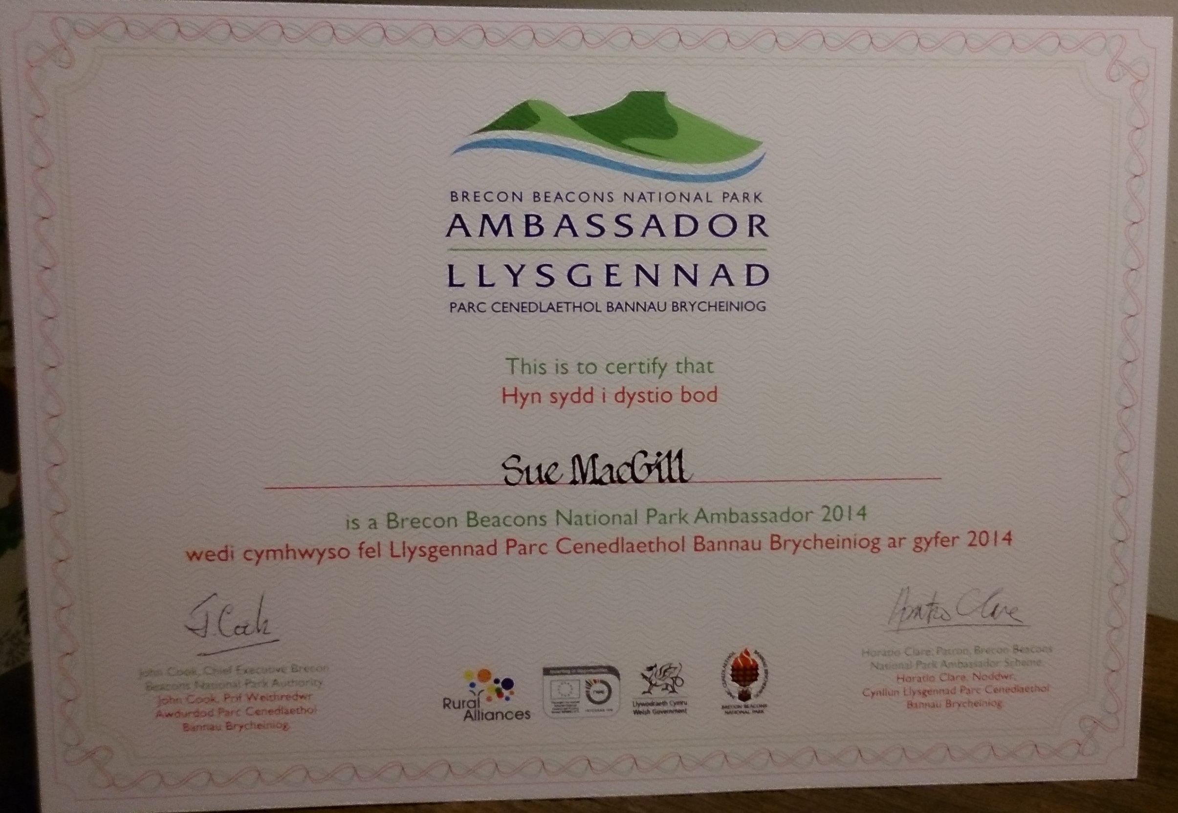 Ambassador Certificate