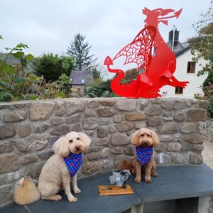 Carmarthenshire Tourism Gold Winner, Award-winning holiday cottage, Best Dog Friendly Business in Carmarthenshire, Gold Winner, Dog Friendly, Award Winner 2024, Basel Boys, Basel Cottage Holidays, Dog friendly holiday cottage, Basel Cottage 2024 Gold Winners