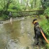 Dog friendly Holidays, Basel Cottage, Dog Friendly, Warm and Cosy, Llandovery, Holiday Cottage, Award-winning,