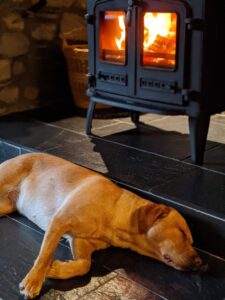 Dog friendly Holidays, Basel Cottage, Dog Friendly, Warm and Cosy, Llandovery, Holiday Cottage, Award-winning, Dogs stay free,