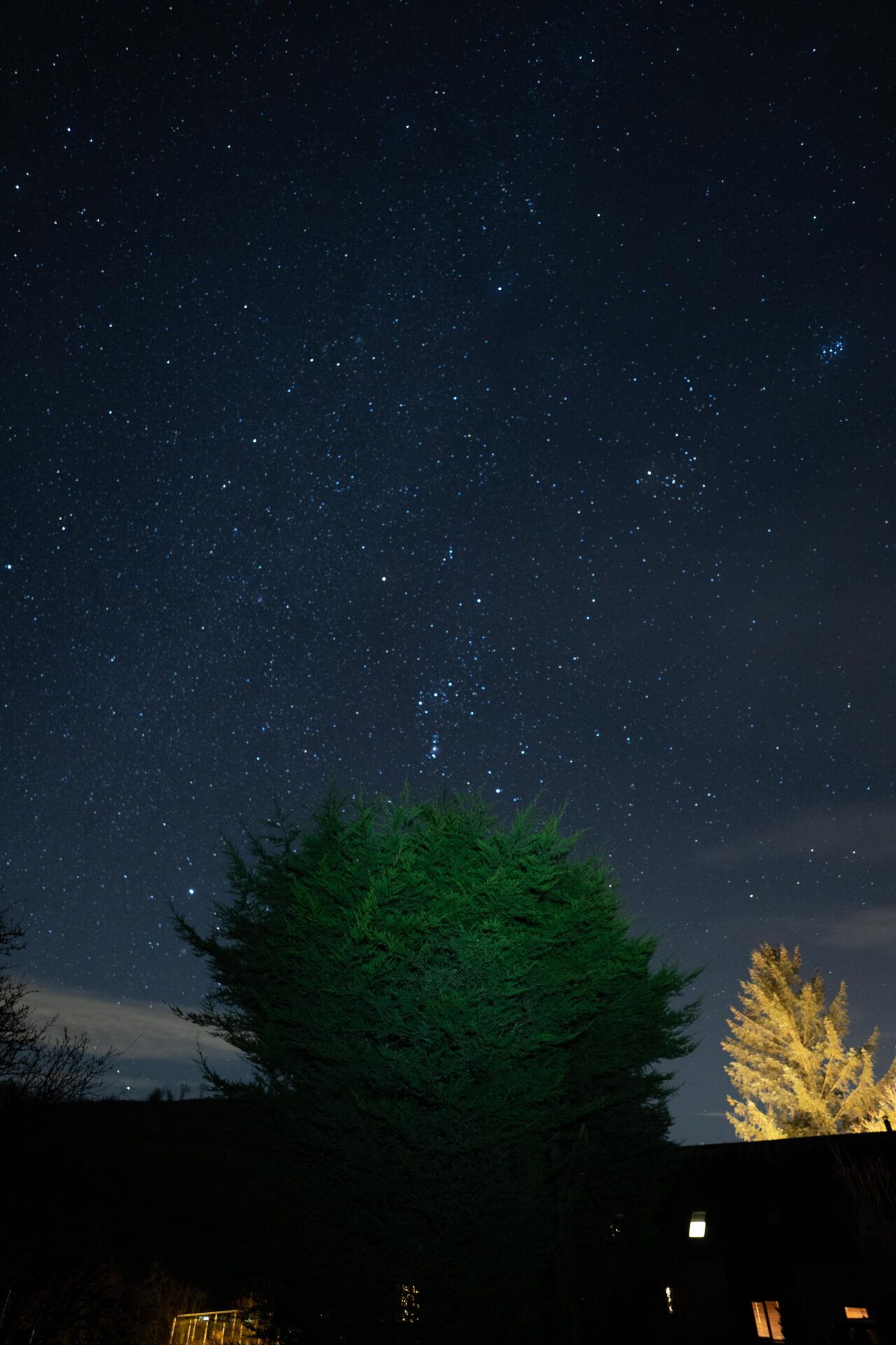Dark skies Wales, stargazing, Wales Dark Sky Week, milky way, galaxy, shooting stars, Dog friendly Holidays, Basel Cottage, Dog Friendly, Warm and Cosy, Llandovery, Holiday Cottage, Award-winning, Dogs stay free,
